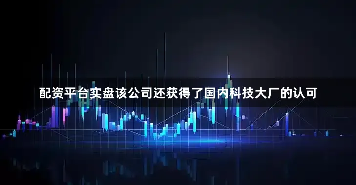 配资平台实盘该公司还获得了国内科技大厂的认可