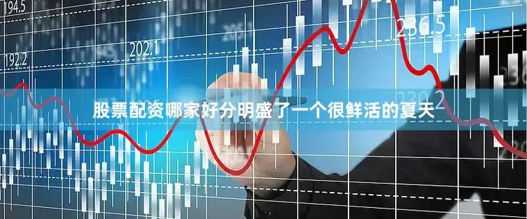 股票配资哪家好分明盛了一个很鲜活的夏天
