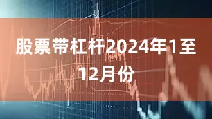 股票带杠杆　　2024年1至12月份