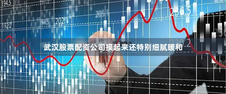 武汉股票配资公司摸起来还特别细腻暖和